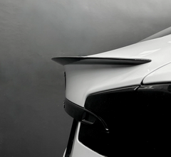 RPMtesla`S Supplier Dry carbon spoiler for Tesla Model S Plaid 2022