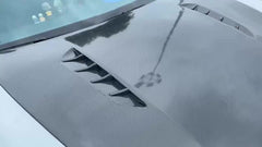 MS Carbon fiber hood for panamera 971 GTS turbo bonnet